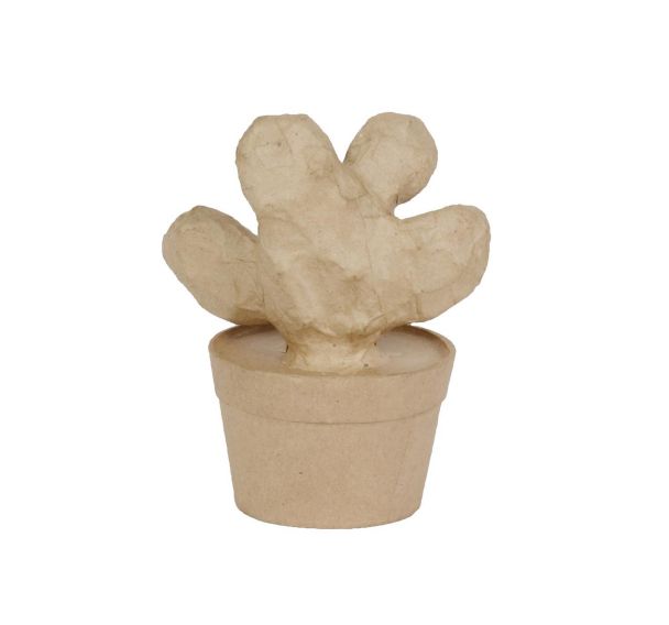 Cactus raquette 9,5x13x16,5cm (Lot de 5)