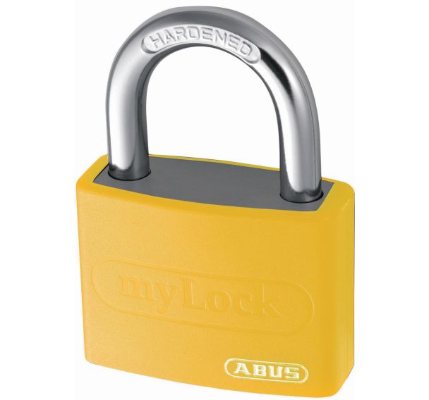 Cadenas personnalisable série T65 - Varié - 2 clés