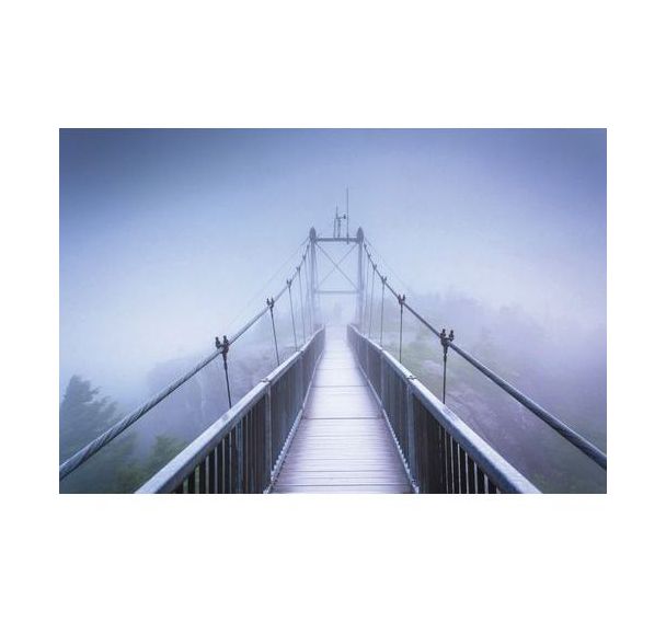 Cadre de décoration H65 x L 98 cm Swinging Bridge
