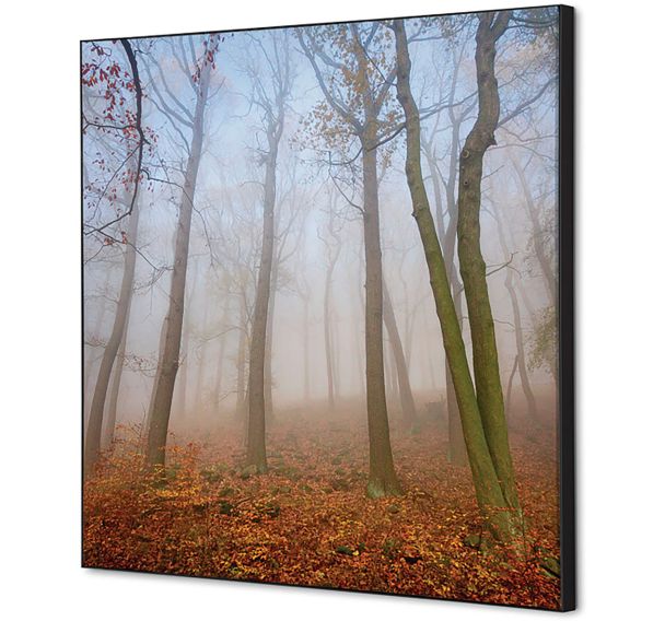 Cadre décoratif en tissu Brume d'automne - Showdown Displays