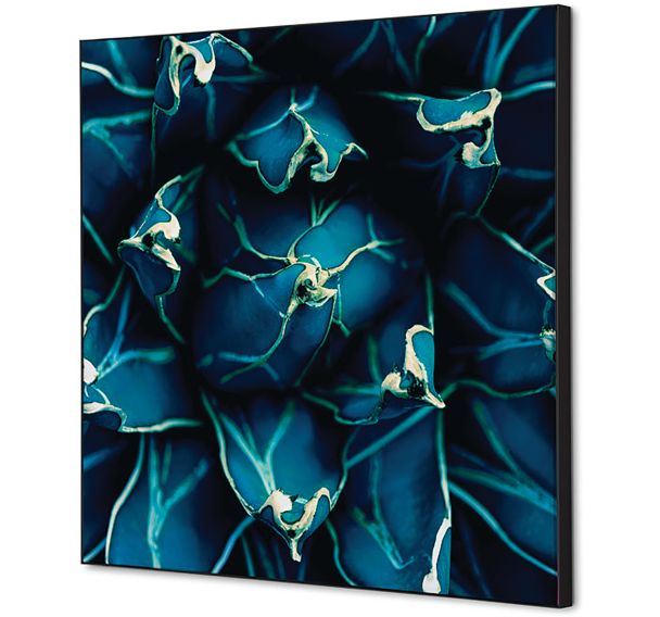 Cadre décoratif en tissu Cactus - Showdown Displays