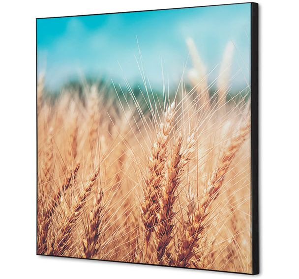 Cadre décoratif en tissu Champ de Céréales - Showdown Displays