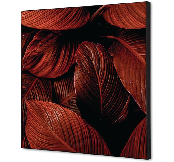 Cadre décoratif en tissu Feuillage - Showdown Displays