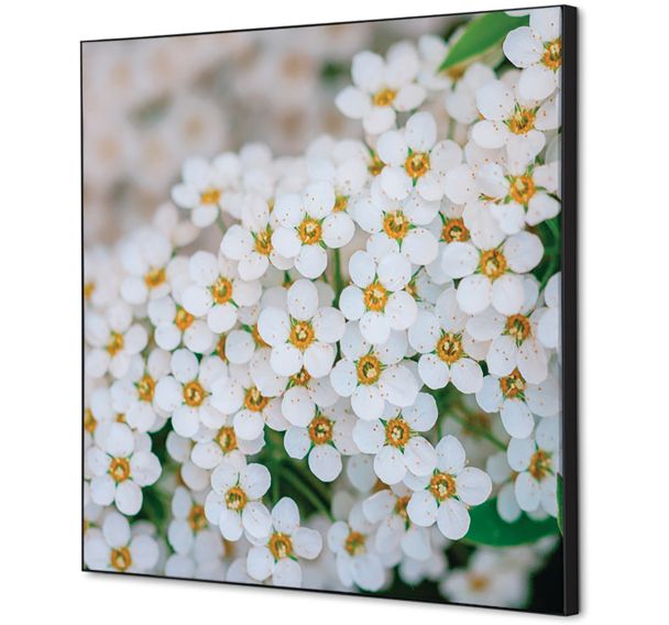 Cadre décoratif en tissu Perce-neige - Showdown Displays