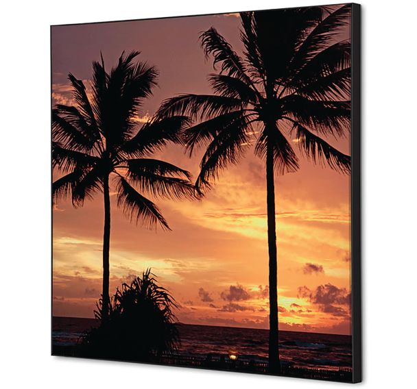 Cadre décoratif tissu Coucher de Soleil Palmiers - Showdown Displays