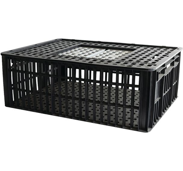 Cage à volailles 2 portes-800x600x280mm-105 L