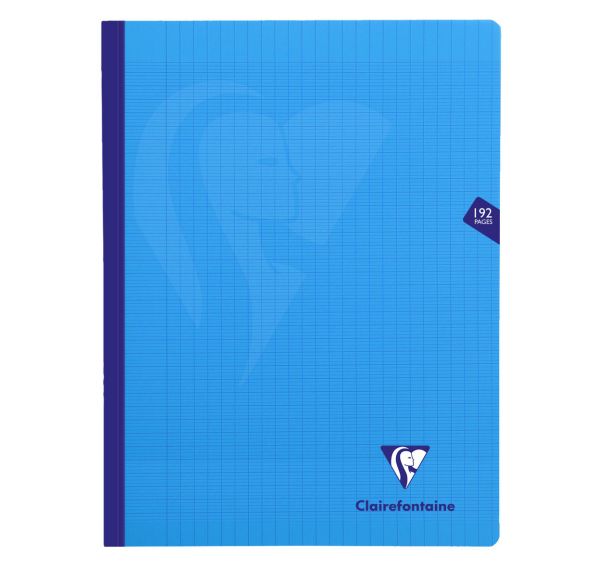 Cahier brochure cousue Mimesys 24x32 cm - Clairefontaine