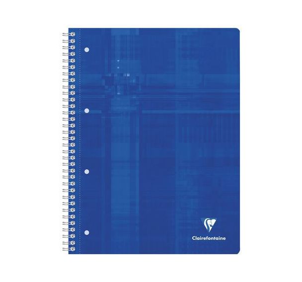 Cahier reliure intégrale 22,5x29,7cm 240p Q.5x5 cadré 60p x 4 teintes papier perfo4 trous
