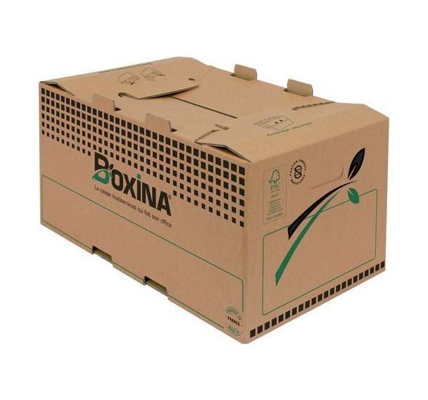 Caisse carton multi-usages Boxina - Lot de 20
