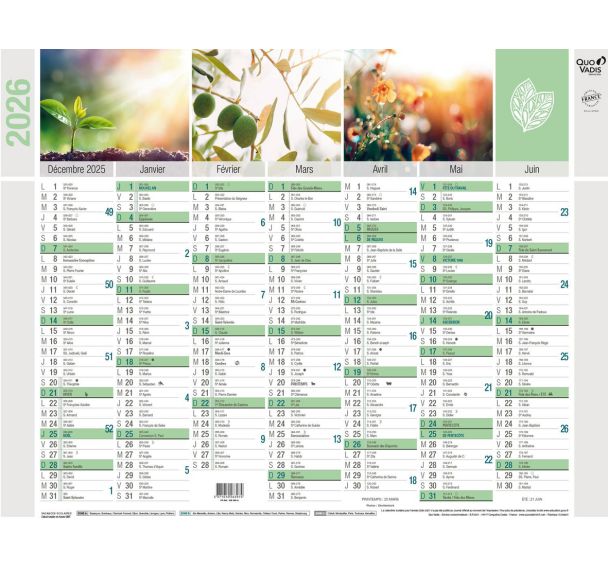 Calendrier mural banque Equology - 2026 - 14 mois - Quo Vadis