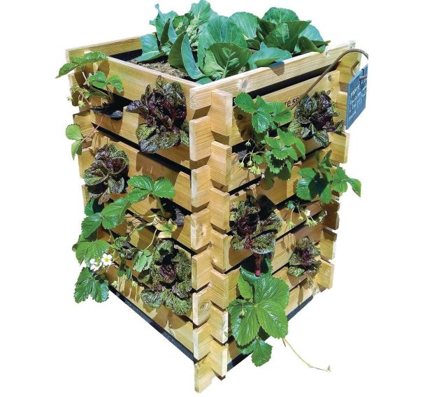 Carré potager Tour Carre Serre