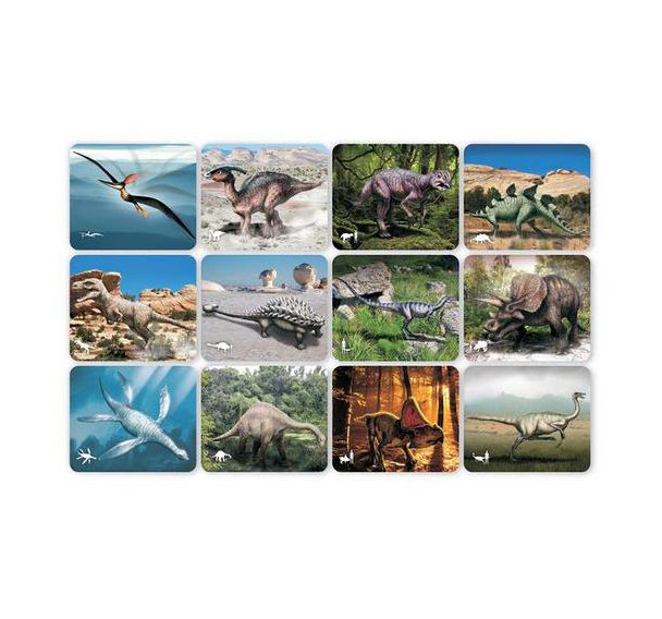 Cartes et radiographies dinosaures (24 pièces)