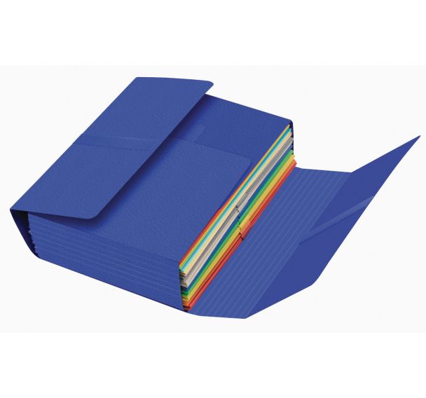 Chemise jumbo carte lustrée - Lot de 10 - Oxford