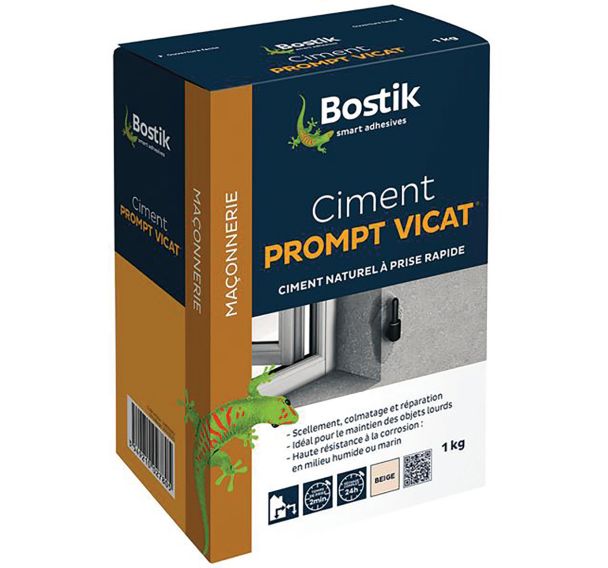 Ciment prompt Vicat 1kg