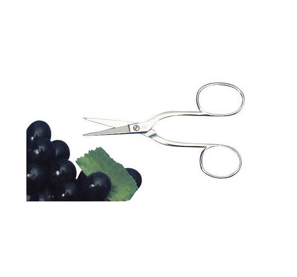Ciseaux oursin/raisin acro 155mm