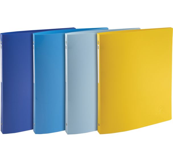Classeur Bee Blue A4 - lot de 20 - couleurs assorties - Exacompta