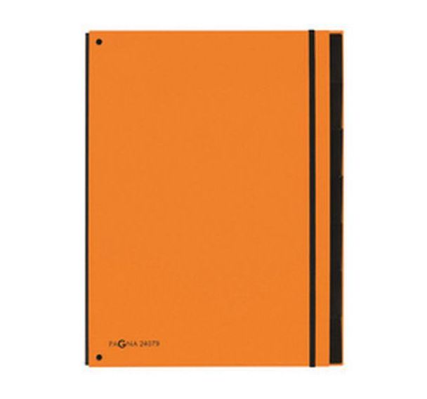 Classeur à soufflet ''Part File Trend'', A4