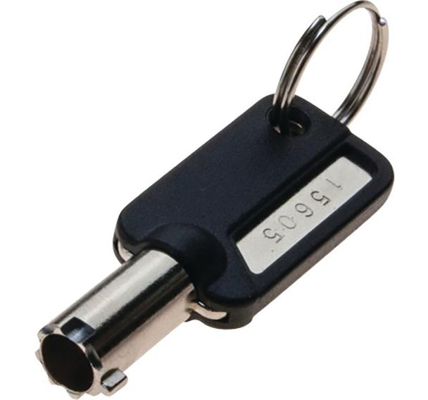 Clé ''pass'' pour antivol Dell Wedge à clé 915055
