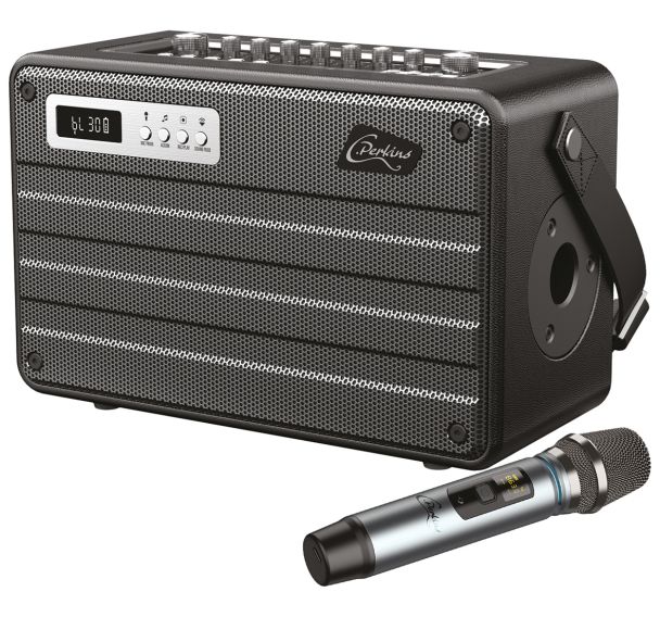 Combo portable tout en un the ROADY-FL avec micro UHF