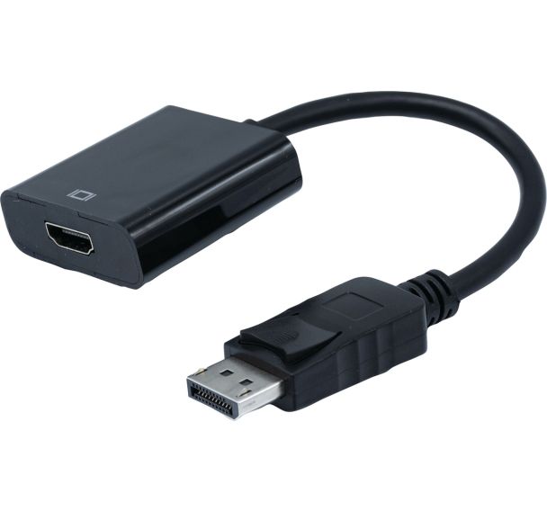 Convertisseur Display Port 1.1 vers HDMI - 20 cm