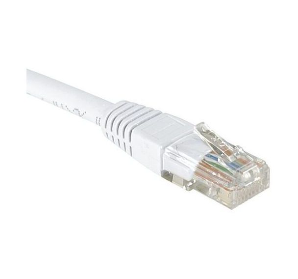 Cordon RJ45 Budget catégorie 6 U/UTP blanc - 2 m