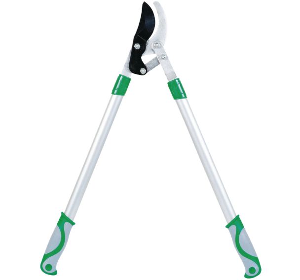 Coupe-branches à contre-lame crantée