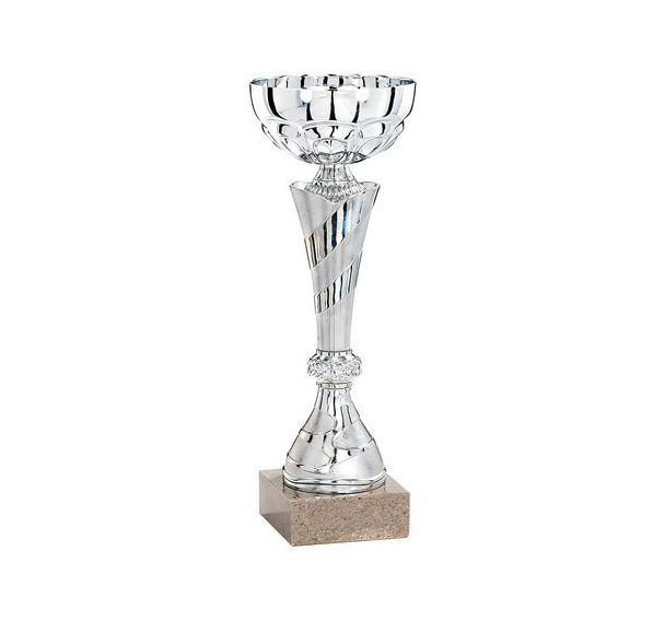 Coupe - économique - argent - 2024 - 25 cm