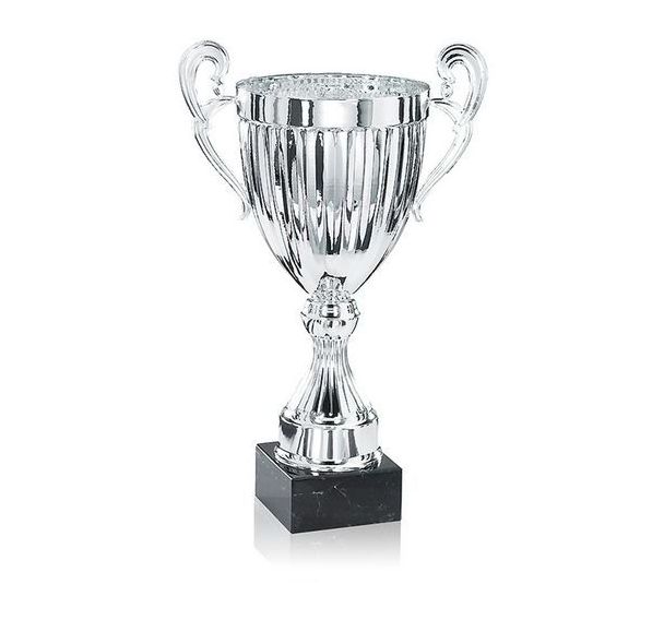 Coupe argent 2 anses rainurée premium