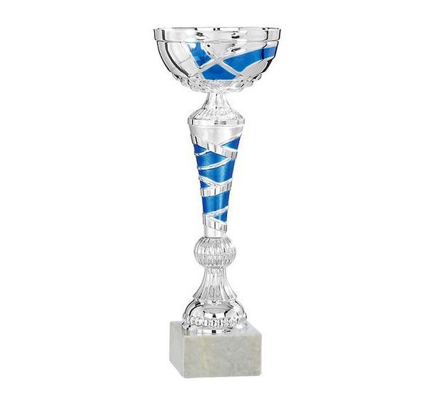 Coupe argent et bleu - économique - 24cm