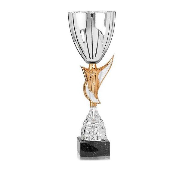 Coupe argent et bronze - classique - 31cm