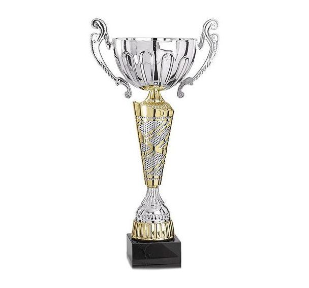 Coupe argent et or - premium - 37cm