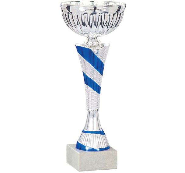 Coupe economique - argent/bleu