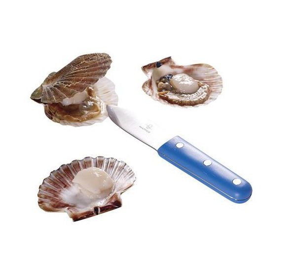 Couteau à coquille saint-jacques ergonomique