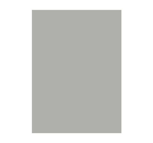 Crédence NEOGLASS 60 X 45 CM Gris Perle