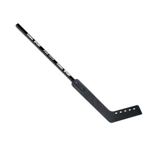 Crosse gardien de street hockey