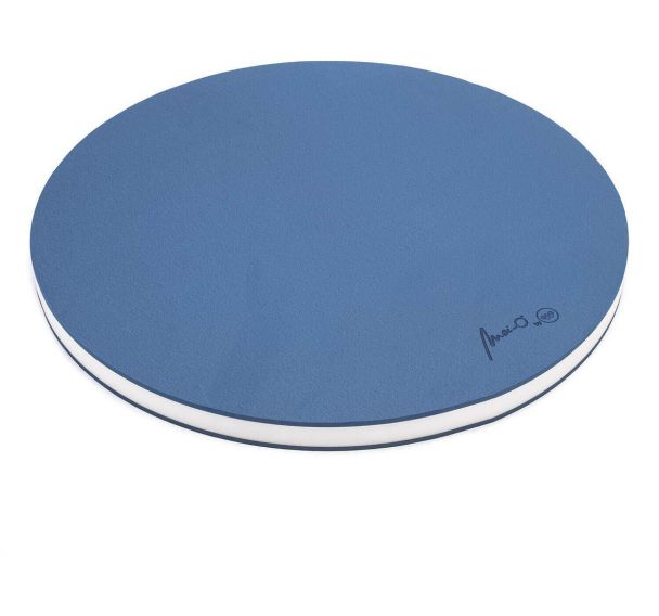 Disque Flottant