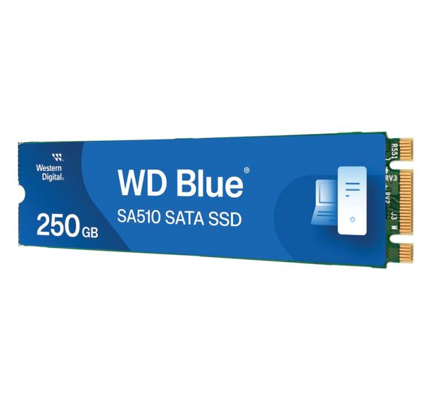 Disque dur interne M.2 SSD 250 Go Blue SA510 - WD
