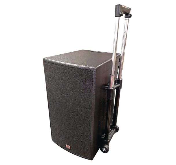 Enceinte amplifiée Mediax multifonction sans fil avec trolley - Tag