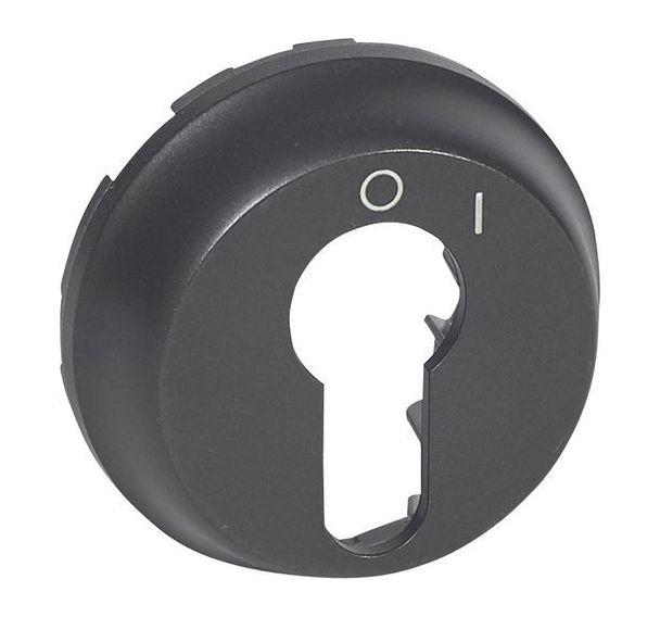 Enjoliveur pour interrupteur à clé 2 positions graphite