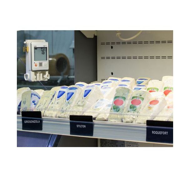 Enregistreur WiFi de température 162T - Testo