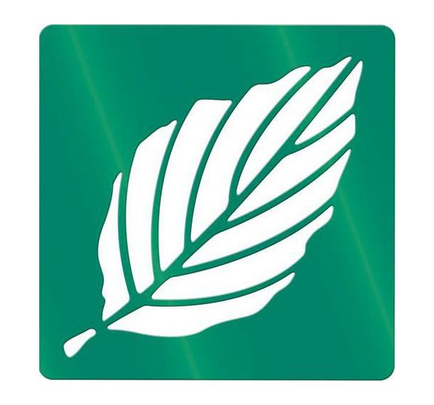 Ensemble de 12 pochoirs variétés de feuilles d'arbres 200 x 200 mm