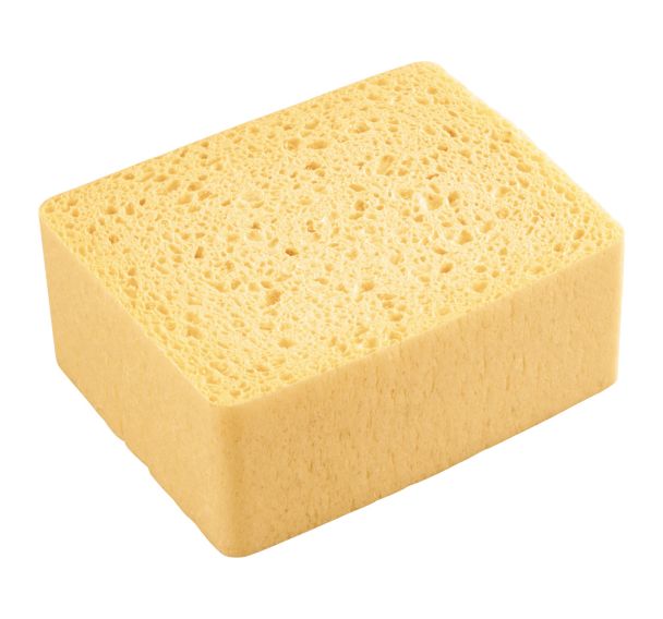 Eponge Vegetale Grand Modele