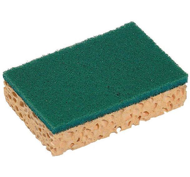 Éponge à récurer rectangulaire - Petit ou grand modèle - Spontex