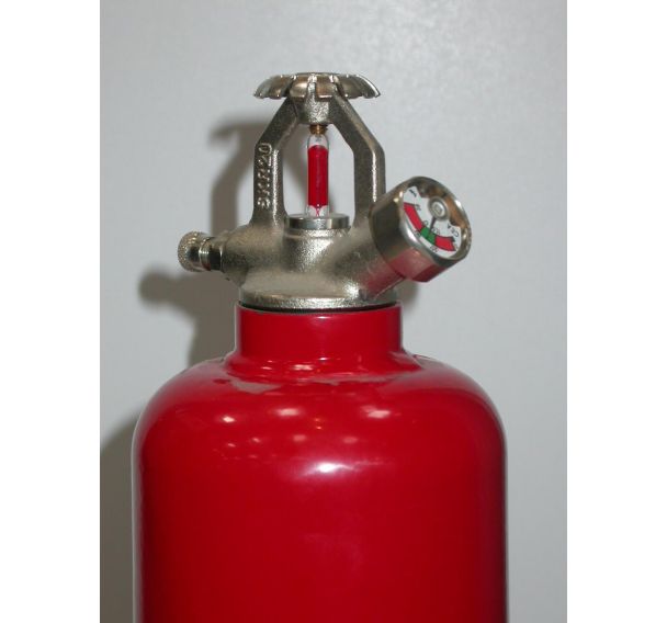 Extincteur CO2 à déclenchement automatique