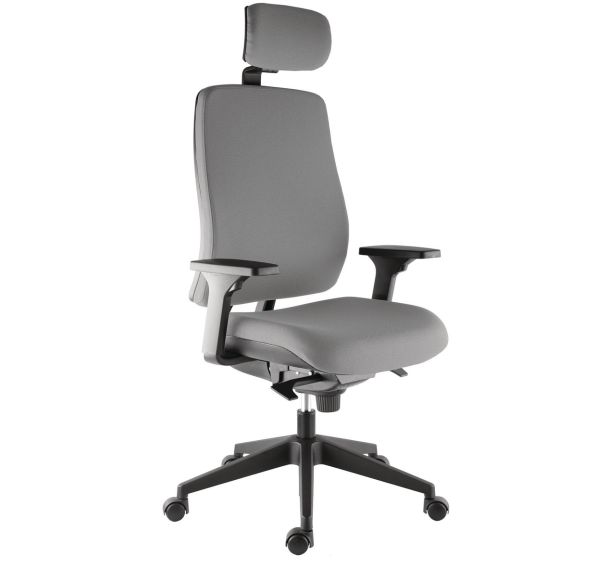 Fauteuil Harmonia acc.régl.+têtière - Manutan Expert