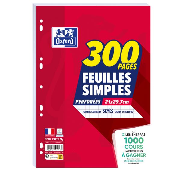 Feuillets mobiles 200 pages seyes 90g perforées A4 + 100 pages offertes (Etui de 100)