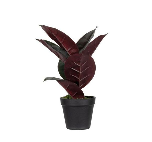 Ficus Elastica artificielle - 36 ou 120 cm - Meet By Paperflow