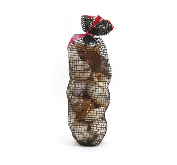 Filet 400 g coquillages assortis