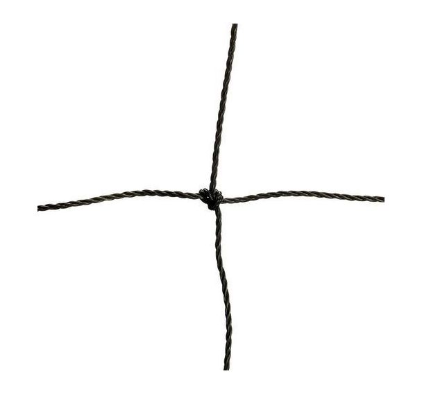 Filet de Volley ball club Match