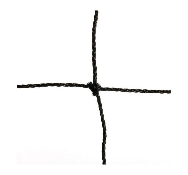 Filet de volley standard school